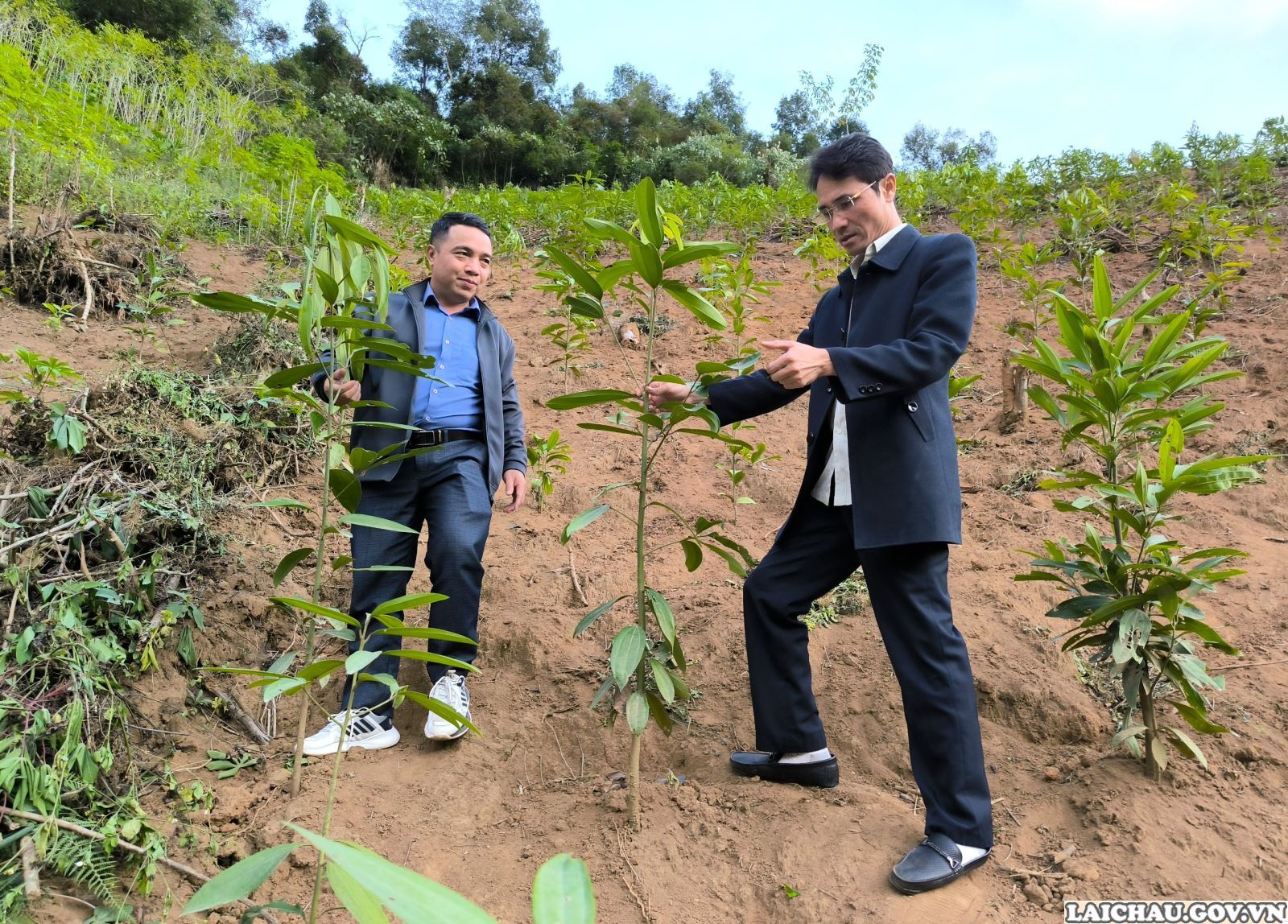Phó Chủ tịch UBND tỉnh Hà Trọng Hải kiểm tra tình hình phát triển nông nghiệp tại huyện Mường Tè