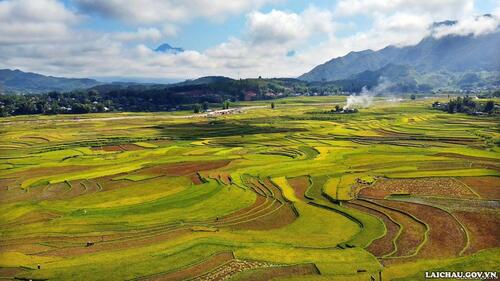 Sau khi thu hoạch xong vụ đông xuân, nông dân huyện Than Uyên sẽ tiến hành sản xuất vụ mùa vào đầu tháng 6.