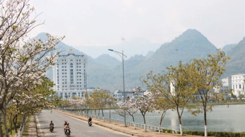 Những ngày này trên khắp các con đường của thành phố Lai Châu đang tràn ngập sắc trắng, tím, hồng của hoa ban - loài hoa đặc trưng của núi rừng Tây Bắc. (Ảnh: Ngọc Sánh)