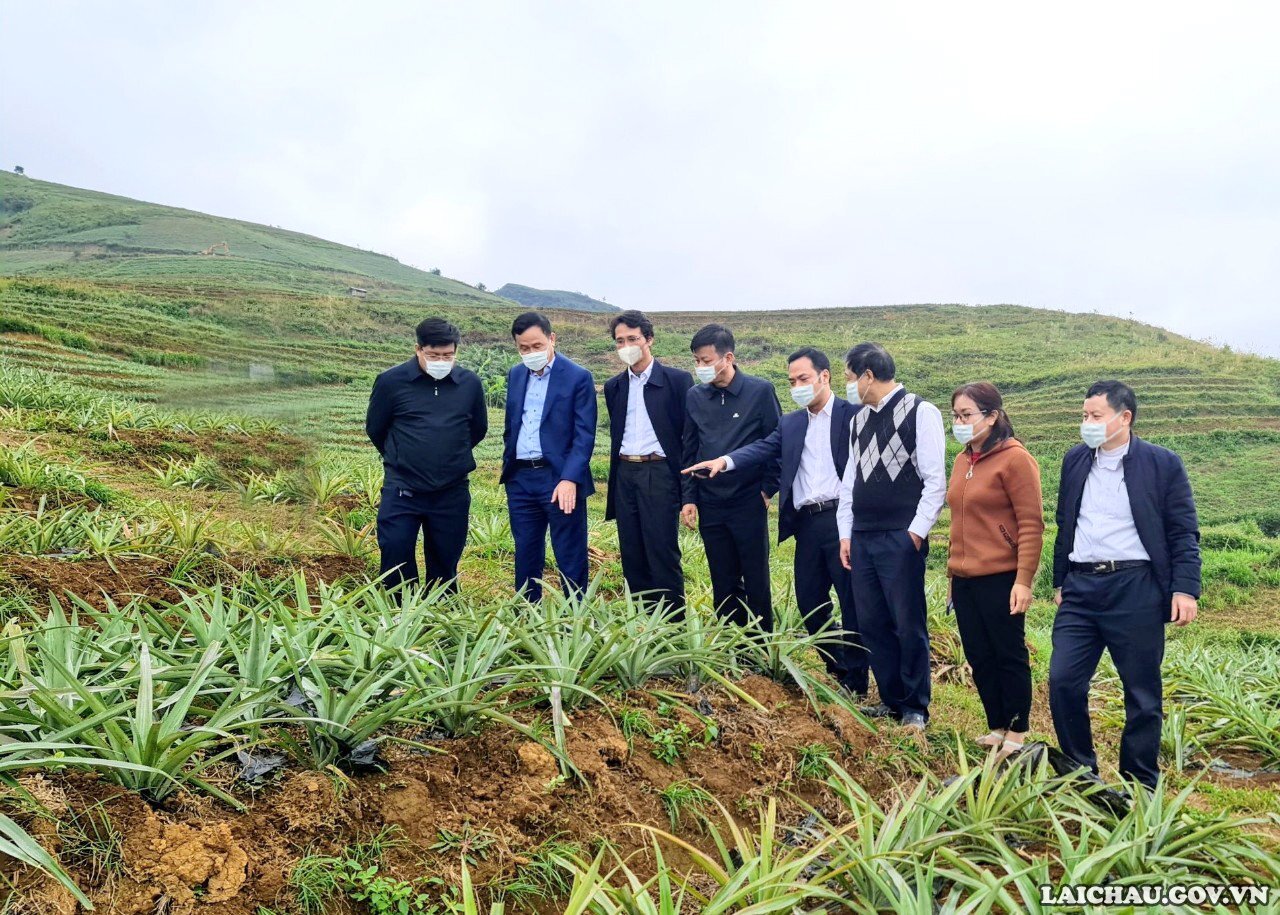 Đoàn công tác của Phó Chủ tịch UBND tỉnh Hà Trọng Hải khảo sát thực địa tại một số huyện