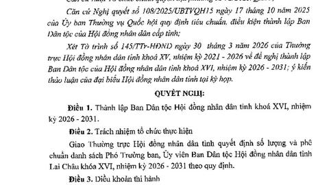 Nghị quyết Xác nhận kết quả bầu Phó Chủ tịch Hội đồng nhân dân tỉnh Lai Châu khóa XVI, nhiệm kỳ 2026 - 2031