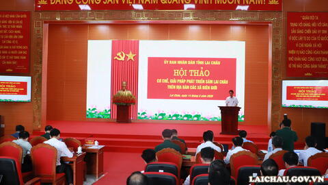 Hội thảo cơ chế, giải pháp phát triển Sâm Lai Châu trên địa bàn các xã biên giới