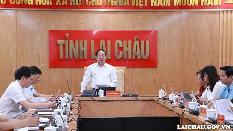 Hội nghị trực tuyến của Ban Chỉ đạo tỉnh về khám sức khỏe định kỳ hoặc khám sàng lọc miễn phí cho người dân