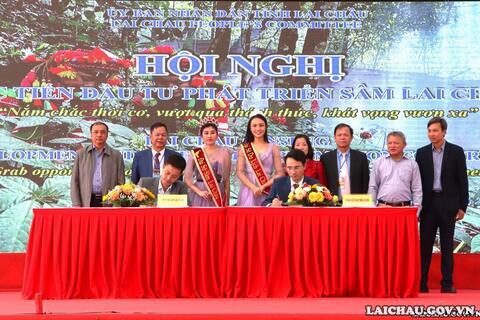 Hội nghị xúc tiến đầu tư phát triển Sâm Lai Châu: Mong muốn đưa hình ảnh Sâm Lai Châu vươn ra Việt Nam và quốc tế