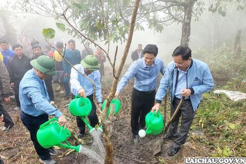 Hội Nông dân tỉnh: Phát động “Tết trồng cây đời đời nhớ ơn Bác Hồ” Xuân Giáp Thìn năm 2024
