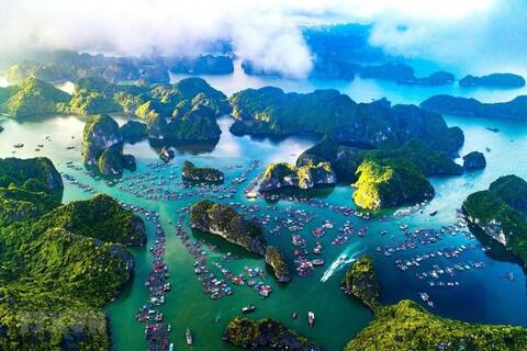 Phấn đấu đến 2030, mở rộng diện tích, thành lập mới, quản lý hiệu quả 27 khu bảo tồn biển