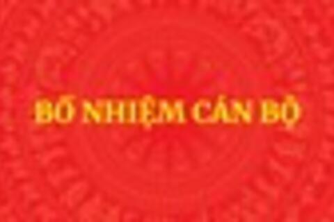 Bộ Chính trị, Ban Bí thư chỉ định Bí thư Tỉnh ủy sau sáp nhập