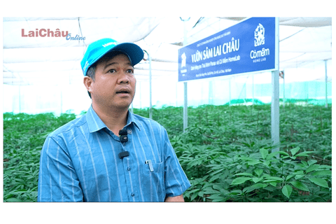 <a href="/du-khach" title="Điểm đến-Du khách" rel="dofollow">Điểm đến - Du khách</a>