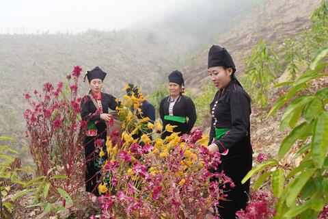 <a href="/du-khach" title="Điểm đến-Du khách" rel="dofollow">Điểm đến - Du khách</a>