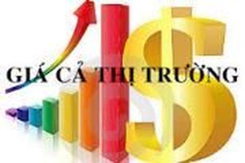 Báo cáo giá thị trường tháng 10/2025