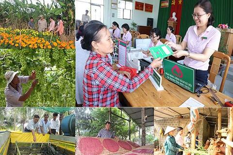 Quy định về tổ chức, hoạt động của Ngân hàng Chính sách xã hội