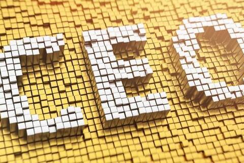 Phê duyệt Chương trình đào tạo, bồi dưỡng 10.000 giám đốc điều hành