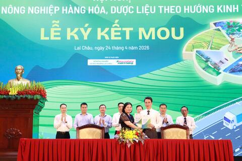 Lai Châu: Kỳ vọng trở thành điểm sáng của nông nghiệp hàng hoá, dược liệu theo hướng kinh tế xanh