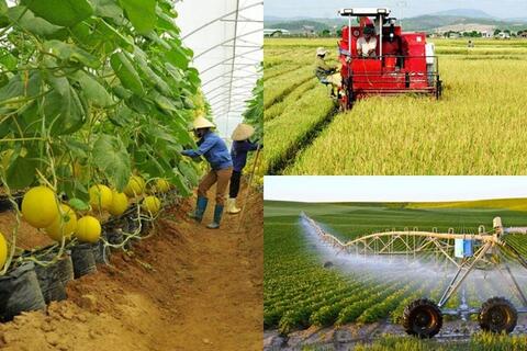 <a href="/tin-tuc-su-kien/chuyen-de/tin-trong-nuoc" title="Tin trong nước" rel="dofollow">Tin tức - Sự kiện</a>