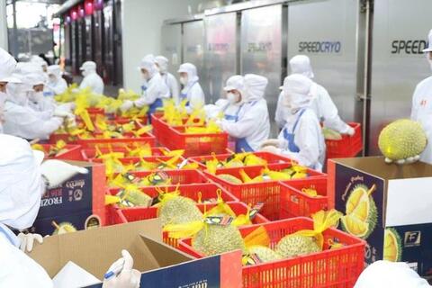 <a href="/tin-tuc-su-kien/chuyen-de/tin-trong-nuoc" title="Tin trong nước" rel="dofollow">Tin tức - Sự kiện</a>