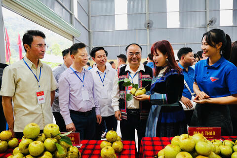 Rộn ràng Ngày hội hái Lê Tân Phong 2026: Trải nghiệm tại vườn, “chốt đơn” nông sản sạch chất lượng cao