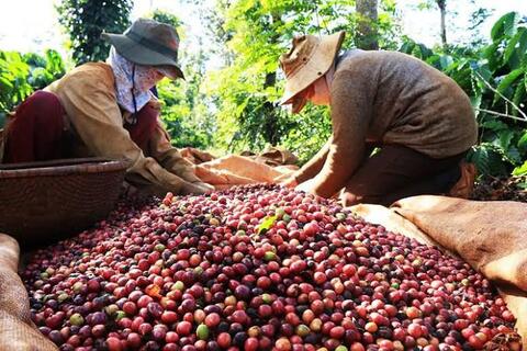 <a href="/tin-tuc-su-kien/chuyen-de/tin-trong-nuoc" title="Tin trong nước" rel="dofollow">Tin tức - Sự kiện</a>