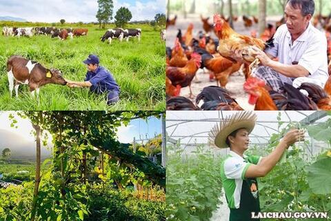 <a href="/tin-tuc-su-kien/chuyen-de/tin-trong-nuoc" title="Tin trong nước" rel="dofollow">Tin tức - Sự kiện</a>