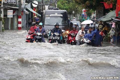 <a href="/tin-tuc-su-kien/chuyen-de/tin-trong-nuoc" title="Tin trong nước" rel="dofollow">Tin tức - Sự kiện</a>