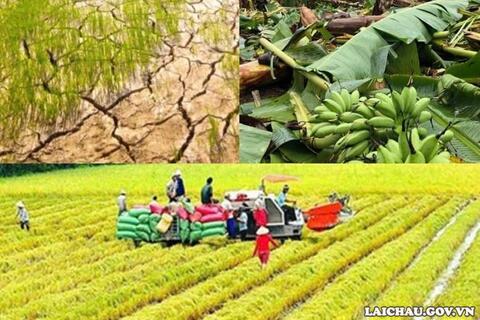 <a href="/tin-tuc-su-kien/chuyen-de/tin-trong-nuoc" title="Tin trong nước" rel="dofollow">Tin tức - Sự kiện</a>