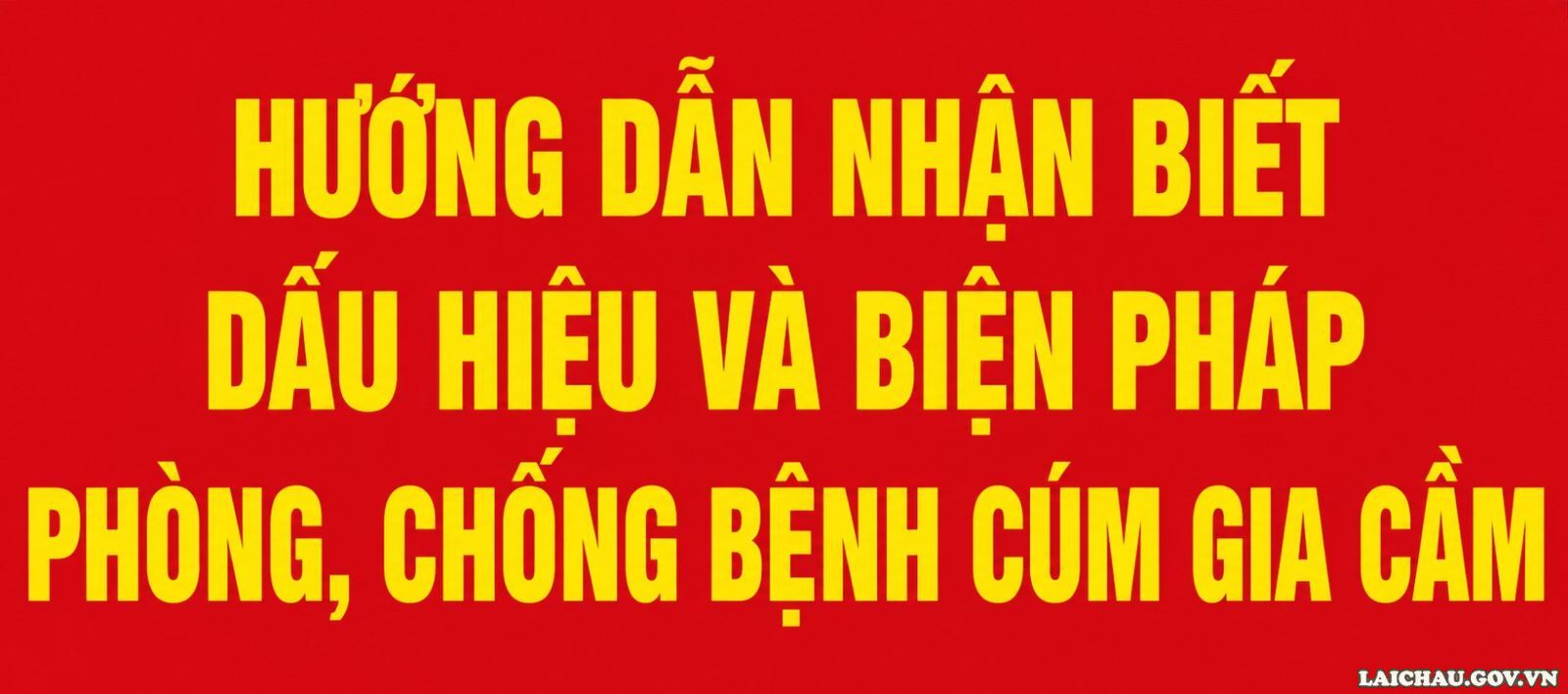 Hướng dẫn nhận biết dấu hiệu và biện pháp phòng, chống bệnh Cúm gia cầm