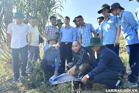Phó Chủ tịch UBND tỉnh Hà Trọng Hải kiểm tra tại các xã Phong Thổ và Sin Suối Hồ