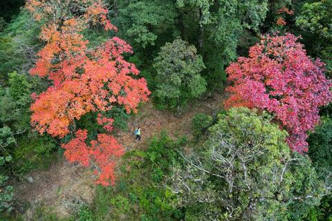 Giải Marathon “Con đường đá cổ Pa Vi” lần thứ I năm 2025 sẽ diễn ra từ ngày 12 - 14/12/2025