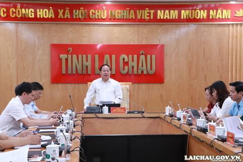 Hội nghị trực tuyến của Ban Chỉ đạo tỉnh về khám sức khỏe định kỳ hoặc khám sàng lọc miễn phí cho người dân