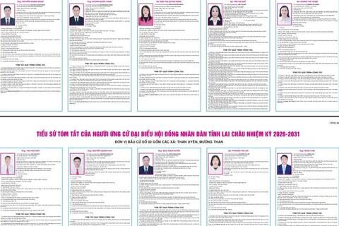 Tiểu sử tóm tắt của người ứng cử đại biểu Hội đồng nhân dân tỉnh Lai Châu nhiệm kỳ 2026-2031