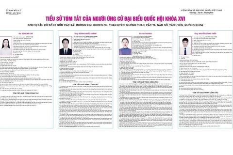 Tiểu sử tóm tắt của người ứng cử đại biểu Quốc hội khóa XVI