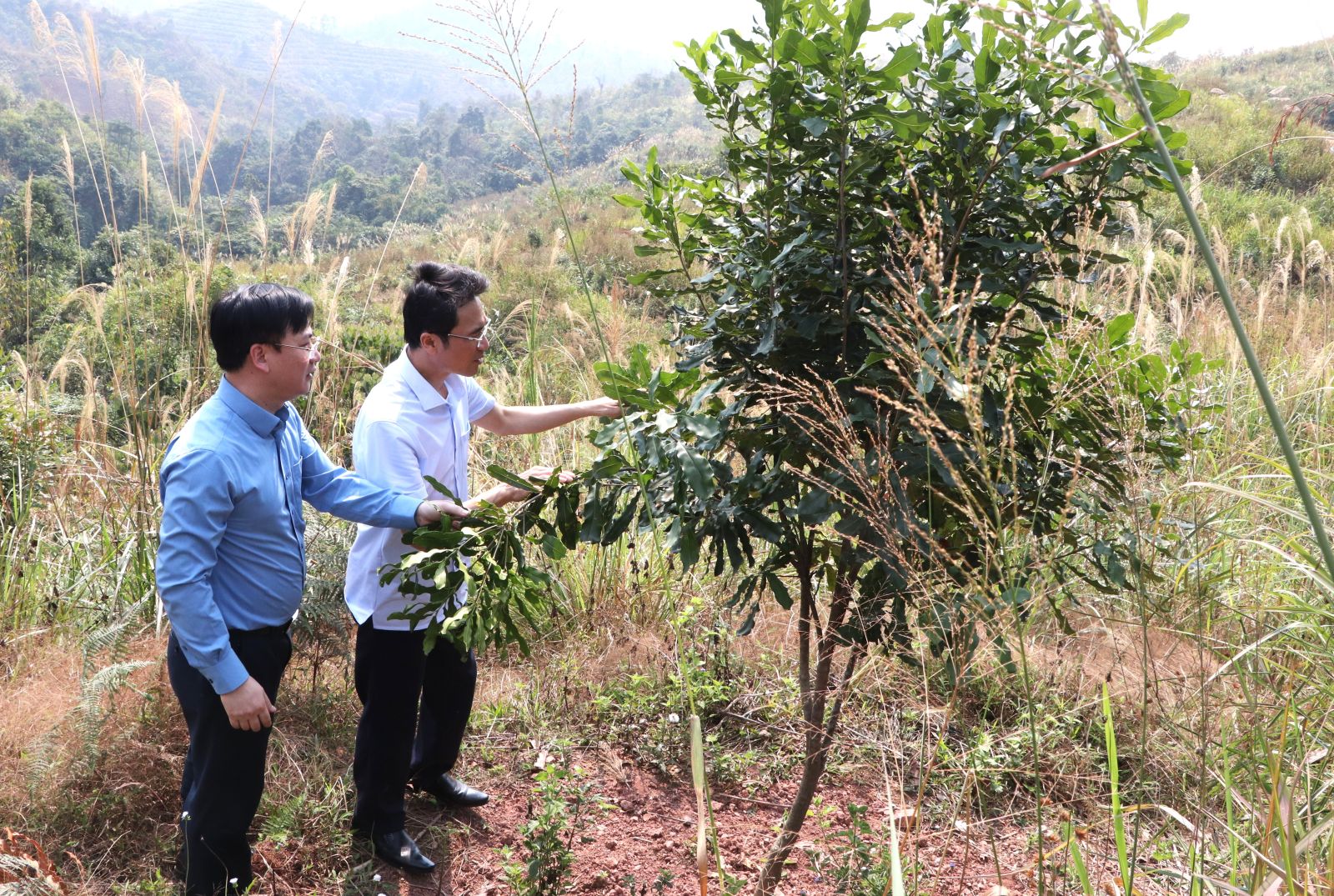 Phó Chủ tịch UBND tỉnh Hà Trọng Hải kiểm tra công tác phòng cháy, chữa cháy rừng tại huyện Sìn Hồ