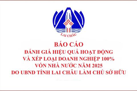 Báo cáo Đánh giá hiệu quả hoạt động và xếp loại doanh nghiệp 100% vốn nhà nước năm 2025 do UBND tỉnh Lai Châu làm chủ sở hữu