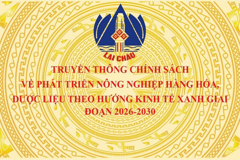 Truyền thông chính sách về phát triển nông nghiệp hàng hóa, dược liệu theo hướng kinh tế xanh giai đoạn 2026 - 2030