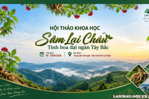 Thông cáo báo chí Hội thảo khoa học “Sâm Lai Châu - tinh hoa đại ngàn Tây Bắc”