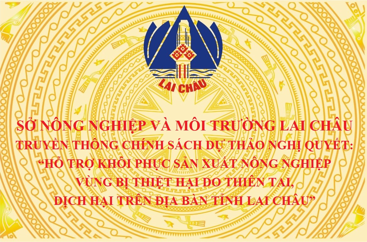 Truyền thông chính sách dự thảo Nghị quyết: “Hỗ trợ khôi phục sản xuất nông nghiệp vùng bị thiệt hại do thiên tai, dịch hại trên địa bàn tỉnh Lai Châu”