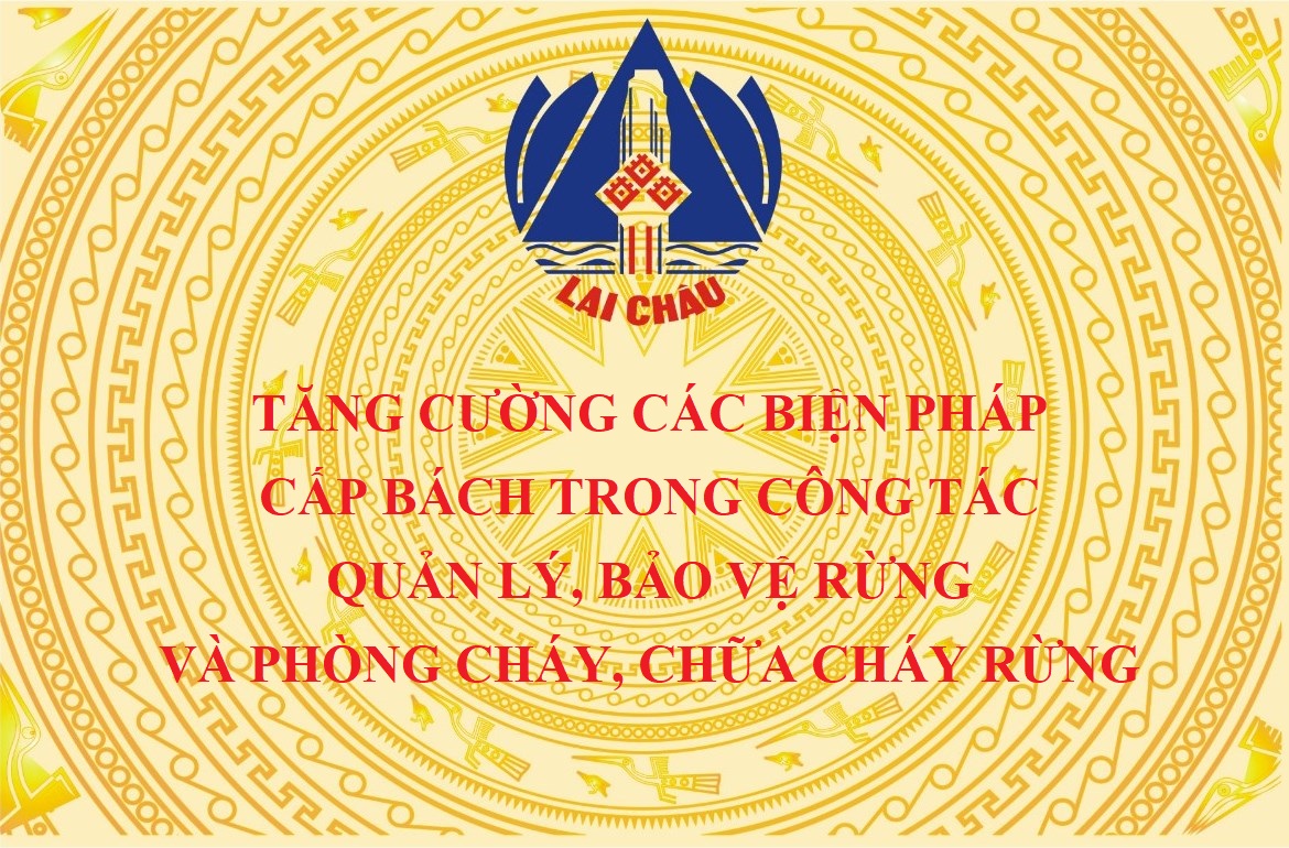 Tăng cường các biện pháp cấp bách trong công tác quản lý, bảo vệ rừng và phòng cháy, chữa cháy rừng