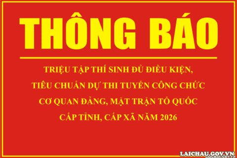 Thông báo Triệu tập thí sinh đủ điều kiện, tiêu chuẩn dự thi tuyển công chức cơ quan đảng, Mặt trận Tổ quốc cấp tỉnh, cấp xã năm 2026