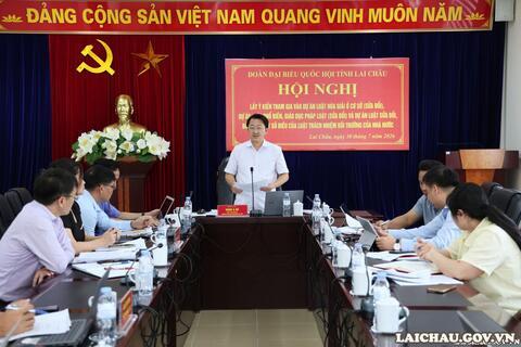 Đoàn đại biểu Quốc hội tỉnh lấy ý kiến vào 3 dự án luật