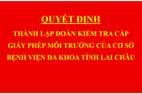 Quyết định Thành lập Đoàn kiểm tra cấp giấy phép môi trường của cơ sở Bệnh viện đa khoa tỉnh Lai Châu