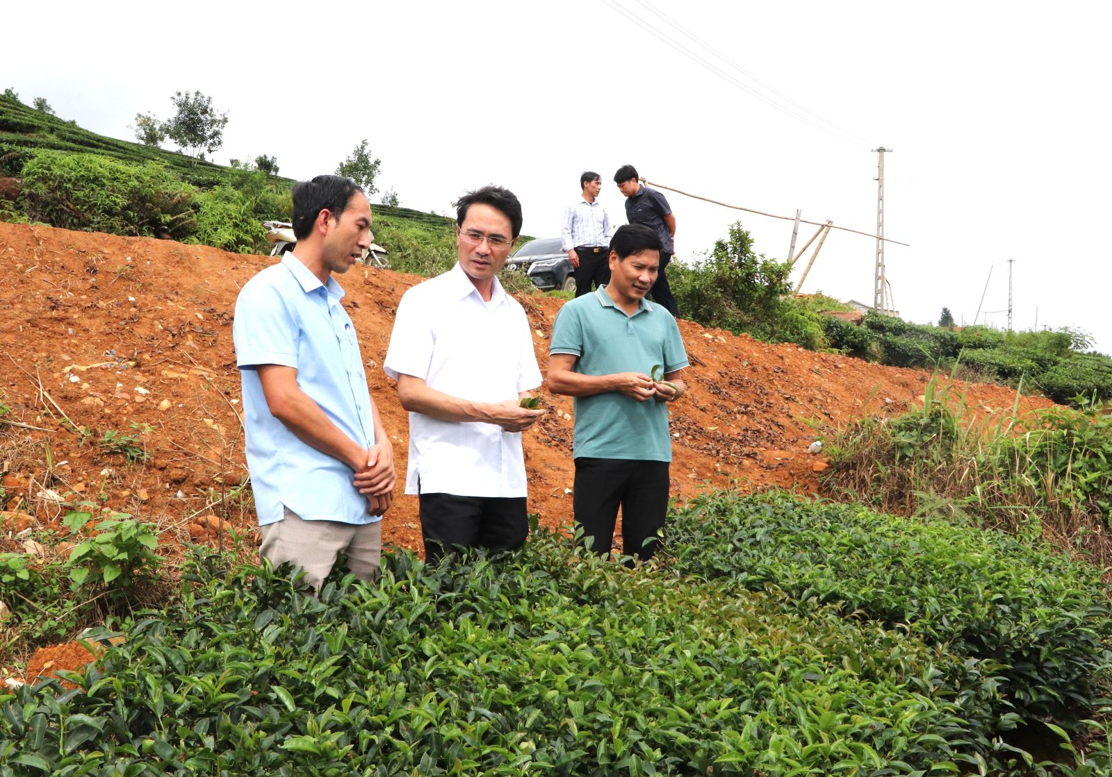 Đoàn công tác UBND tỉnh kiểm tra lĩnh vực nông nghiệp tại huyện Tân Uyên