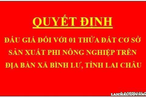Quyết định Đấu giá đối với 01 thửa đất cơ sở sản xuất phi nông nghiệp trên địa bàn xã Bình Lư, tỉnh Lai Châu