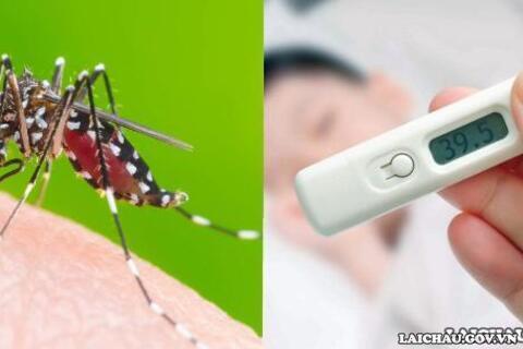 Lai Châu tăng cường công tác phòng, chống sốt xuất huyết