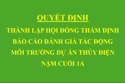 Quyết định Thành lập hội đồng thẩm định báo cáo đánh giá tác động môi trường dự án Thủy điện Nậm Cuổi 1A