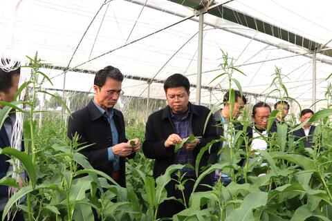 Phó Chủ tịch UBND tỉnh Hà Trọng Hải kiểm tra thực địa và làm việc với các xã Pắc Ta, Mường Khoa, Tân Uyên về định hướng quy hoạch chung xã