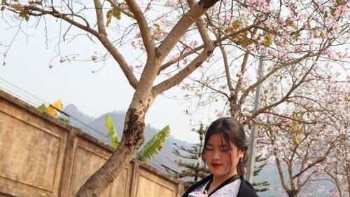 Em gái trong trang phục áo cóm của người dân tộc Thái duyên dáng cùng hoa ban.