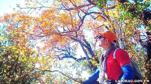 Thời gian từ tháng 10 đến Tết là khi lá phong bắt đầu lên màu vàng hoặc đỏ rực rỡ. Xen dưới màu xanh bạt ngàn của núi rừng tạo thành một cảnh sắc khiến du khách khó có thể bỏ qua.