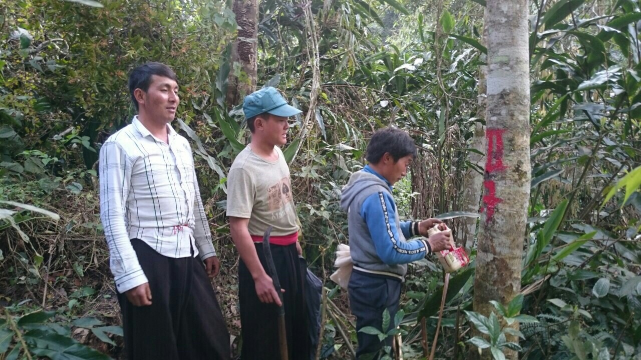bom chua chay