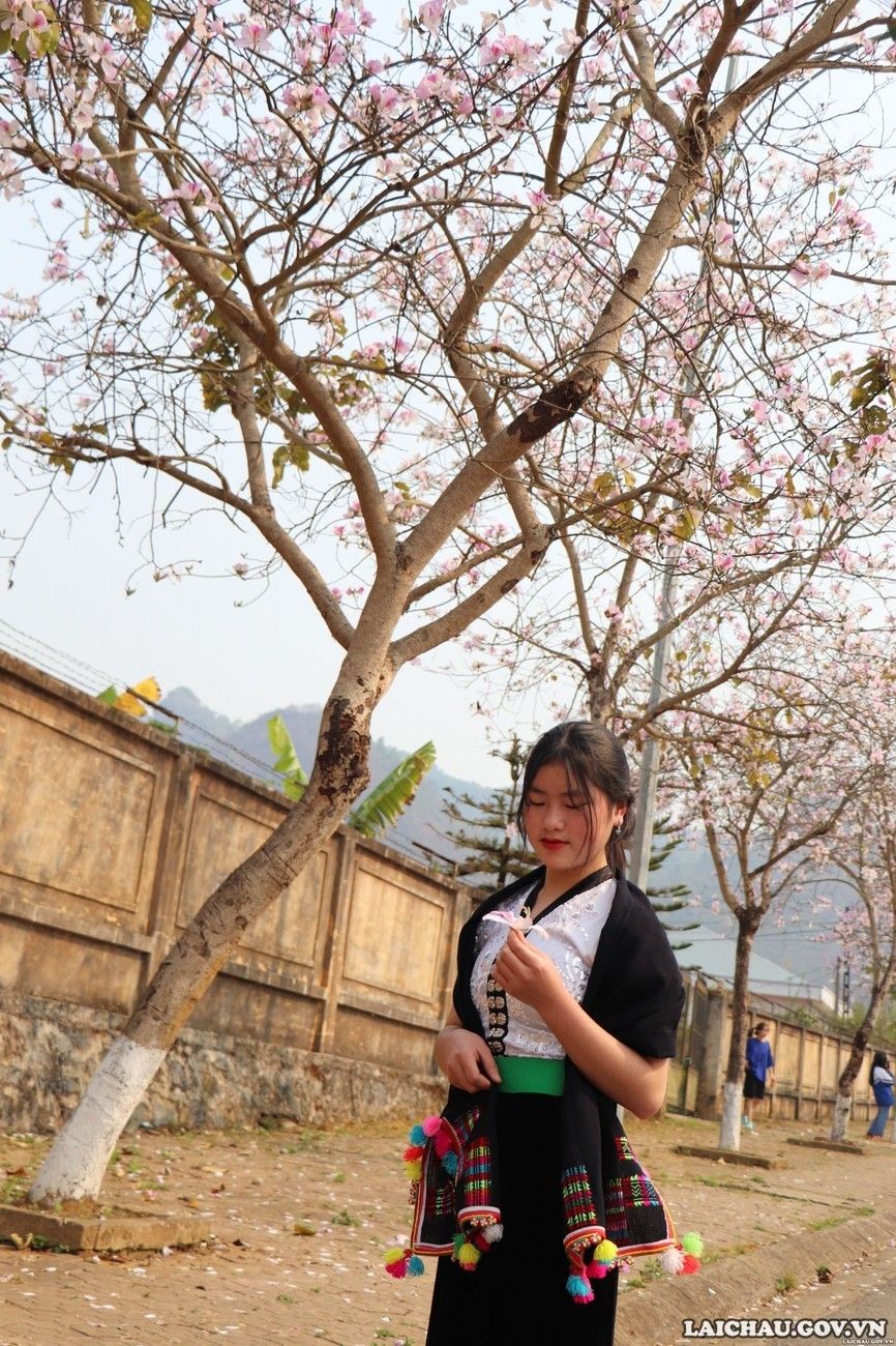 Em gái trong trang phục áo cóm của người dân tộc Thái duyên dáng cùng hoa ban.