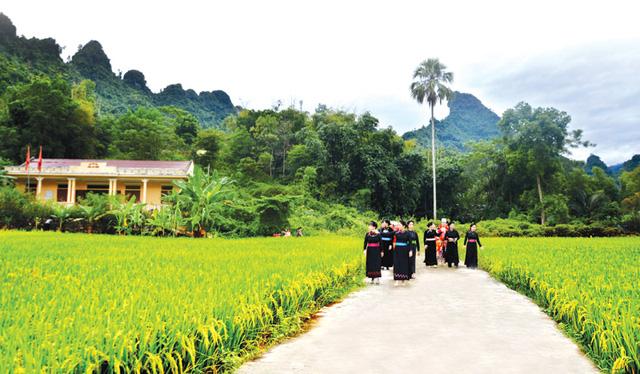 Chỉ đạo, điều hành của Chính phủ, Thủ tướng Chính phủ nổi bật tháng 3/2022 - Ảnh 2.