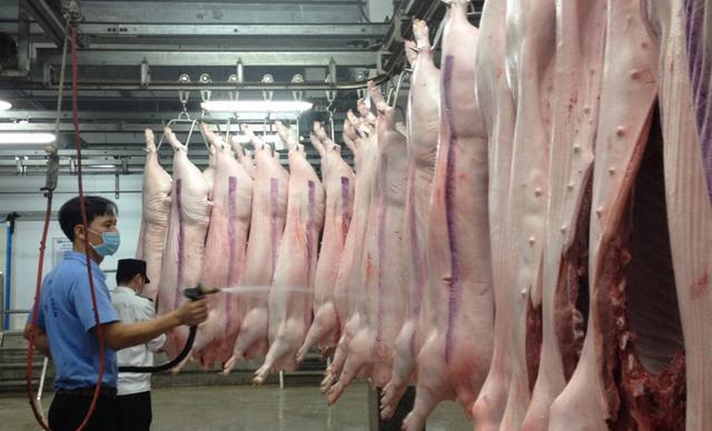 Tăng cường năng lực kiểm soát dịch bệnh động vật và bảo đảm an toàn thực phẩm động vật - Ảnh 1.